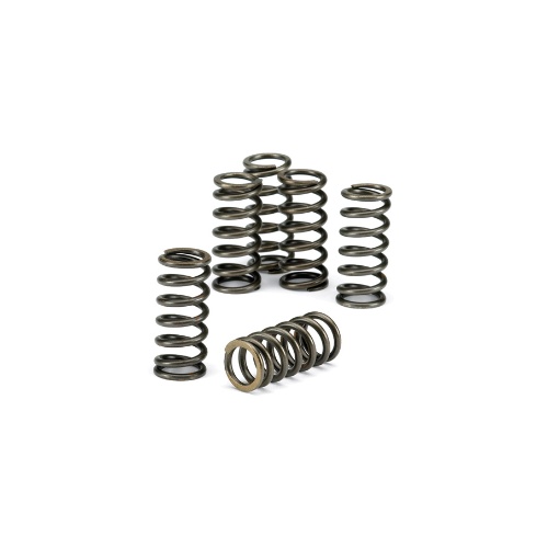 Clutch springs KTM 144 SX (08) CSK024