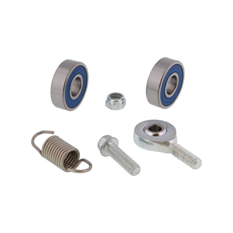 Rear Brake Pedal Rebuild Kit KTM 300 EXC (24-25) AB-18-2004