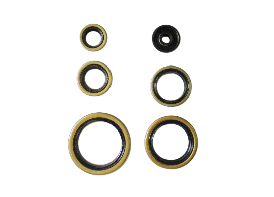 Engine Seal Set NRTeam Husaberg 250 TE (11-14) GK8012OS