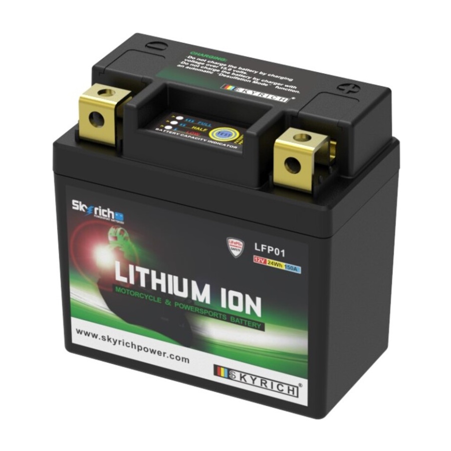 Battery LFP01 Skyrich lithium LFP01